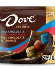 Dove Chocolate Squares Assortment: 98-Piece Bag