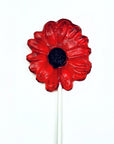 Pure Sugar Lollipop - Daisies - Candy Warehouse