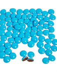 Milk Chocolate Gems - Baby Blue: 2LB Bag