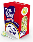 Dum Dums Pops - Lemon Lime: 50-Piece Box - Candy Warehouse