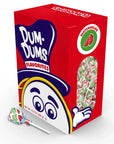 Dum Dums Pops - Watermelon: 50-Piece Box - Candy Warehouse
