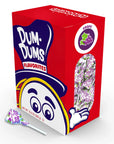 Dum Dum Pops - Grape: 50-Piece Box