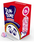 Dum Dums Pops - Bubble Gum: 50-Piece Box