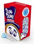 Dum Dums Pops - Cotton Candy: 50-Piece Box