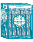 YumEarth Organic Christmas Blue Raspberry Candy Canes: 10-Piece Box - Candy Warehouse