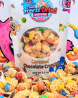 Freeze Dried Caramel Chocolate Crunch Candy - Candy Warehouse