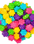 Candy Flower Garden - Assorted: 10LB Case