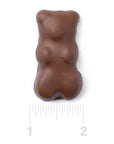 Chocolate Covered Jumbo Gummy Bears: 5LB Box