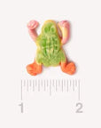 Gummy Dual Flavor Rainforest Tropical Frogs: 1KG Bag