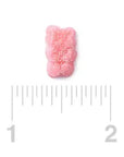 Sour Gummy Pink Bears - Watermelon: 6.6LB Bag