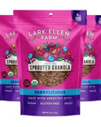 Lark Ellen Farm Berrylicious Sprouted Granola (Grainfree)