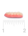 Gummy Teeth Candy: 6.6LB Bag