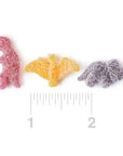 Herbert's Best Rawr Sour Gummy Dinosaurs: 12-Piece Case