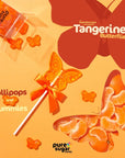 Pure Sugar Butterfly Lollipops - Candy Warehouse