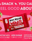 Wiley Wallaby Classic Red Mini Licorice Bites Packs: 18-Piece Box
