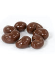 Albanese Milk Chocolate Covered Cashews: 10LB Bag