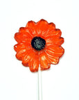 Pure Sugar Lollipop - Daisies - Candy Warehouse