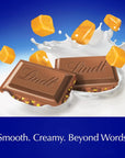 Lindt Caramel Sea Salt Milk Chocolate Bars: 12-Piece Case