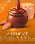 Lindt Chocolate Lindor Truffles - Almond Butter Milk Chocolate: 6-Piece Case
