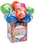 Mega Pops with Charms Mini Lollipops: 12-Piece Display
