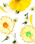 Pure Sugar Lollipop - Daisies - Candy Warehouse