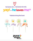 Pure Sugar Lollipop - Daisies - Candy Warehouse