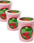 Chocolate Storybook Cotton Candy - Wild Strawberry: 12-Piece Case