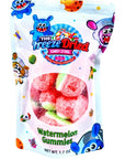 Freeze Dried Watermelon Gummies Candy - Candy Warehouse
