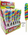 Twisty Rainbow Swirl 6-Inch Lollipops: 48-Piece Display