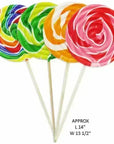 Swirl Lollipops 10-Ounce Colorful Assortment: 24-Piece Display