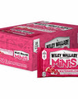 Wiley Wallaby Watermelon Mini Licorice Bites Packs: 18-Piece Box