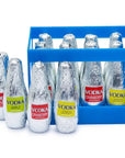 Abtey Chocolate Assorted Vodka Liquor Bottles: 12-Piece Crate
