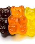 Albanese Autumn Gummy Bears Candy: 5LB Bag