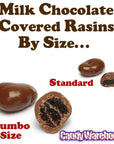 Albanese Milk Chocolate Covered Raisins Candy - Jumbo: 10LB Case
