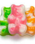 Albanese Sherbet Gummy Bears: 9-Ounce Bag