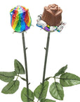 Albert's Foiled Milk Chocolate Roses - Rainbow: 20-Piece Bouquet