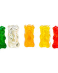 Assorted Gummy Bear Magnets: 5-Piece Pack