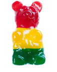 Astro World's Largest Gummy Bear Gift Box
