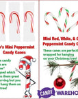 Brach's Mini Peppermint Candy Canes - Bulk: 1560-Piece Case