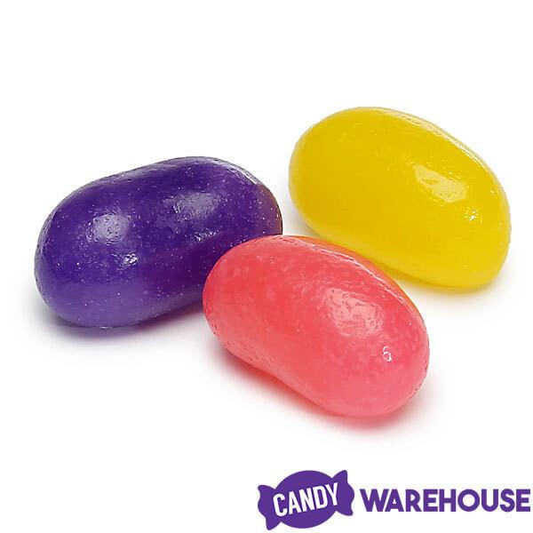 Brach's Jumbo Jelly Beans: 13-Ounce Bag - Candy Warehouse