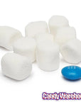 Campfire Mini Marshmallows Packs - White: 12LB Case