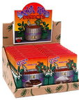 Chocolate Covered Insects Packs: 24-Piece Box