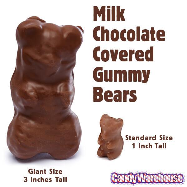Chocolate Covered Jumbo Gummy Bears: 5LB Box