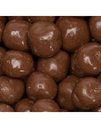 Chocolate Covered S'Moresels: 2LB Bag