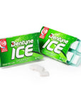 Dentyne Ice Sugar Free Gum Packets - Spearmint: 9-Piece Box