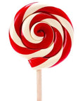 Giant 10-Ounce Red & White Swirl Lollipop in Gift Box