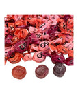 GoOrganic Organic Hard Candy - Assorted: 5LB Bag
