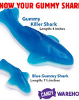 Gummy Killer Sharks Candy: 6.6LB Bag