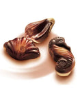Guylian Chocolate Sea Shells: 6-Piece Gift Box