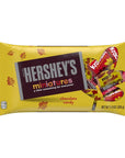 Hershey's Miniatures Autumn Assortment: 9.9-Ounce Bag
